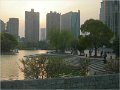 Shanghai (847)